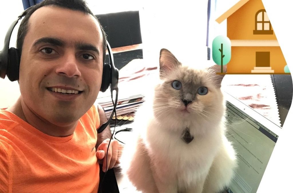 Omid working from home with his kitten, Maddie!